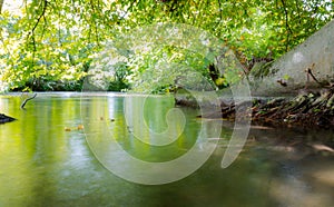 River Itchen in Eastleigh, Hampshire, UK