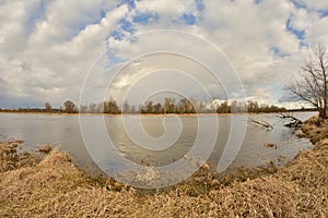 The river and its banks are overgrown with rushes and vegetation.