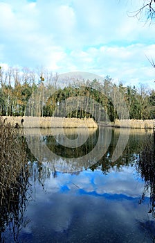 The river and its banks are overgrown with rushes and vegetation.