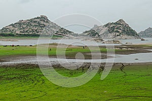 River of jawai dam is greener and also water and mounten beautiful sky summer