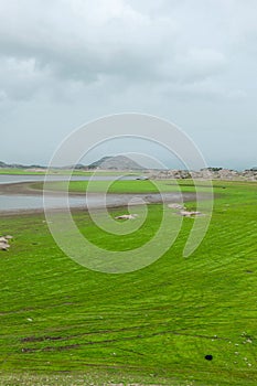 River of jawai dam is greener and also water and mounten beautiful sky summer