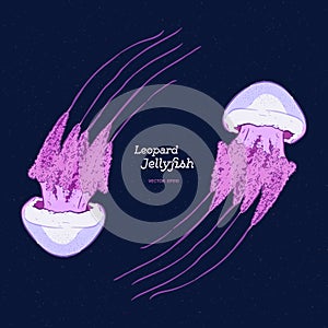 River jelly Leopard jellyfish, hand draw sketch vector