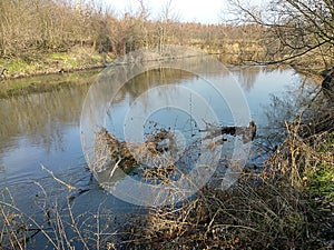 River Jihlava, Czech republic,Europe