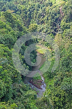 River and jungle in Bali