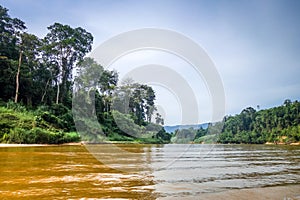 River and jungle in Taman Negara national park, Malaysia