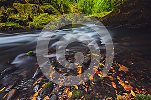 River Kamenice in autumn, Bohemian Switzerland