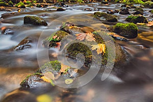 River Kamenice in autumn, Bohemian Switzerland