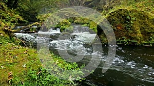 River Kamenice in autumn, Bohemian Switzerland