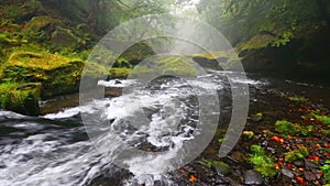 River Kamenice in autumn, Bohemian Switzerland