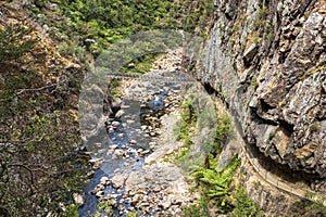 River at  Karangahake gorge.