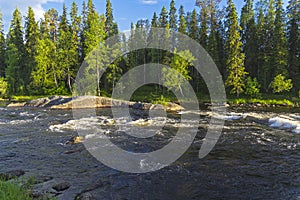 River in Karelia, Russia photo