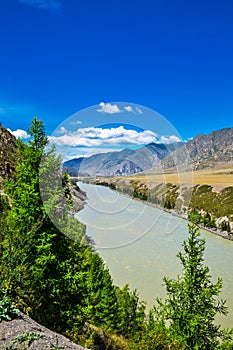 The River Katun. Gorny Altai, Russia