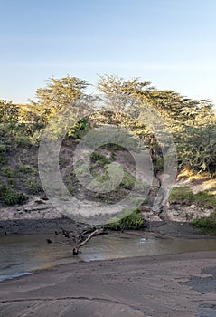 River of kenia