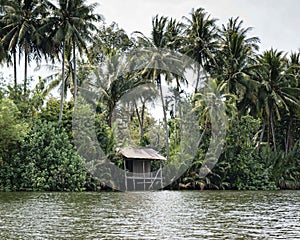 River Kong cutting through the dense jungle. A wooden dock has been built by the locals as a place to stop and moor boats