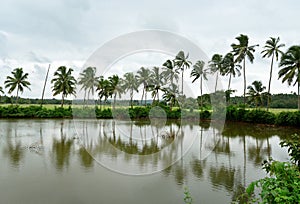 River in Konkan photo