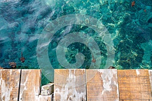 River Dock - La media luna National Park photo