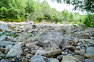 Řeka, jezero nebo potok tekoucí v divoké přírodě.