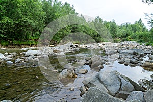 River, lake or the brook flowing in the wild nature.