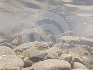 River, lake or the brook flowing in the wild nature.