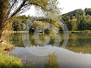 River, lake or the brook flowing in the wild nature.