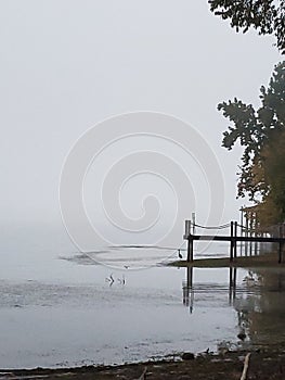 River lake dock bird state park Tennessee Chattanooga