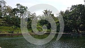 River Lake Forest Danau Sungai dan Hutan