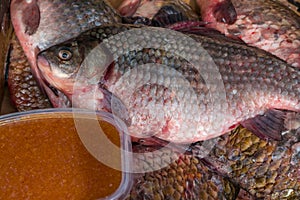 River, lake raw fish in scales carp, crucian