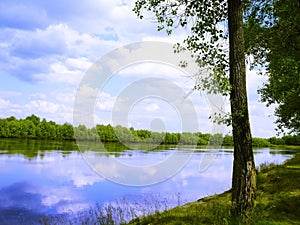 River, land with trees