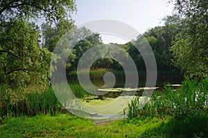 River, land with trees and blue sky