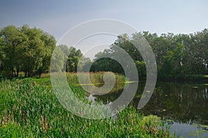 River, land with trees and blue sky