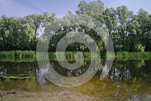 River, land with trees and blue sky