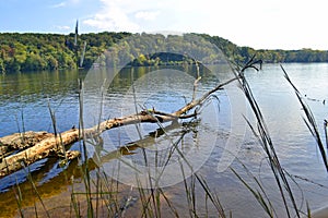 River landscape