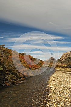 River landscape in beautiful autumn colors, Los Glaciares National Park