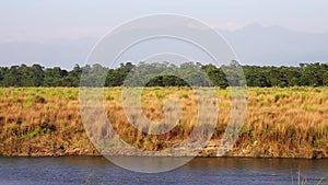 River Landscape in Chitwan National Park, Nepal