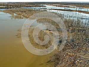 River  Early spring. bare trees, melting snow
