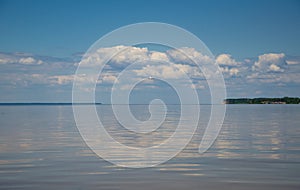 River landscape, egret flies over the river