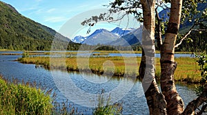 River landscape on the Kenai Peninsula