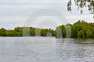 river landscape of a large river and trees