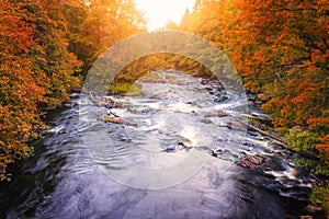 River landscape with orange and red forest autumn