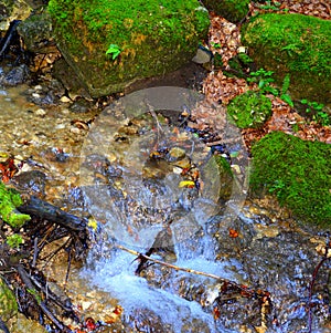 River. Landscape in the way Poiana Brasov