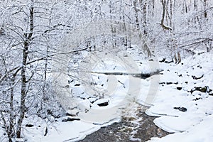 River landscape in Winter