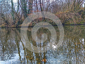 River landskapes. Beautiful nature. Forest and river.