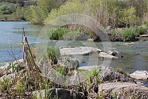 River with large granite stones. Steppe. Nature