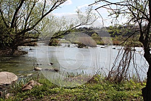 River with large granite stones. Steppe. Nature