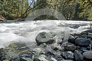 River at Little Qualicum Falls Provincial Park, British Columbia