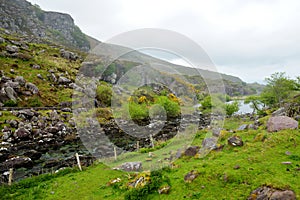 The River Loe and narrow mountain pass road wind through the steep valley of the Gap of Dunloe, nestled in the Macgillycuddys