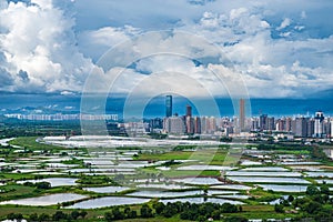 The River-loop area of Shenzhen River