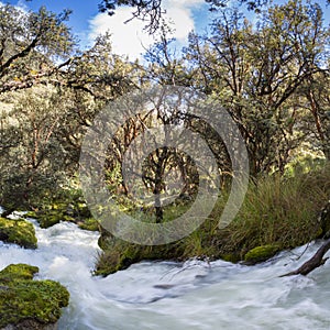 River and lush green forest near Huaraz in Cordillera Blanca, Pe