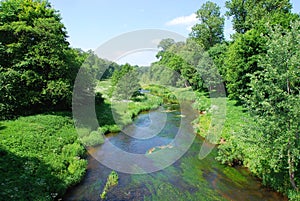 River and lush greenery