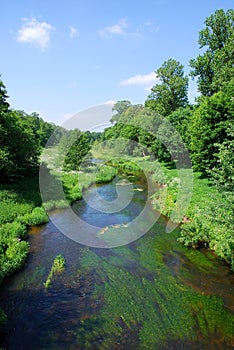 River with lush greenery